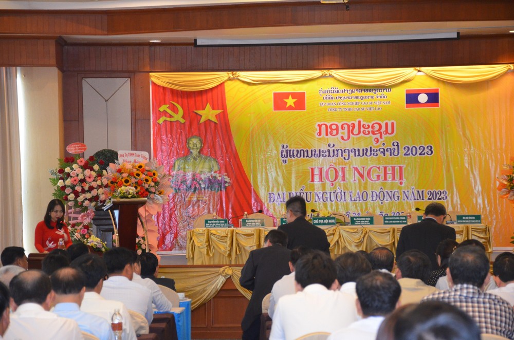 hình ảnh cao su việt lào